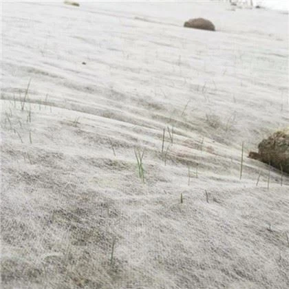 غطاء المحاصيل الزراعية غير المنسوجة