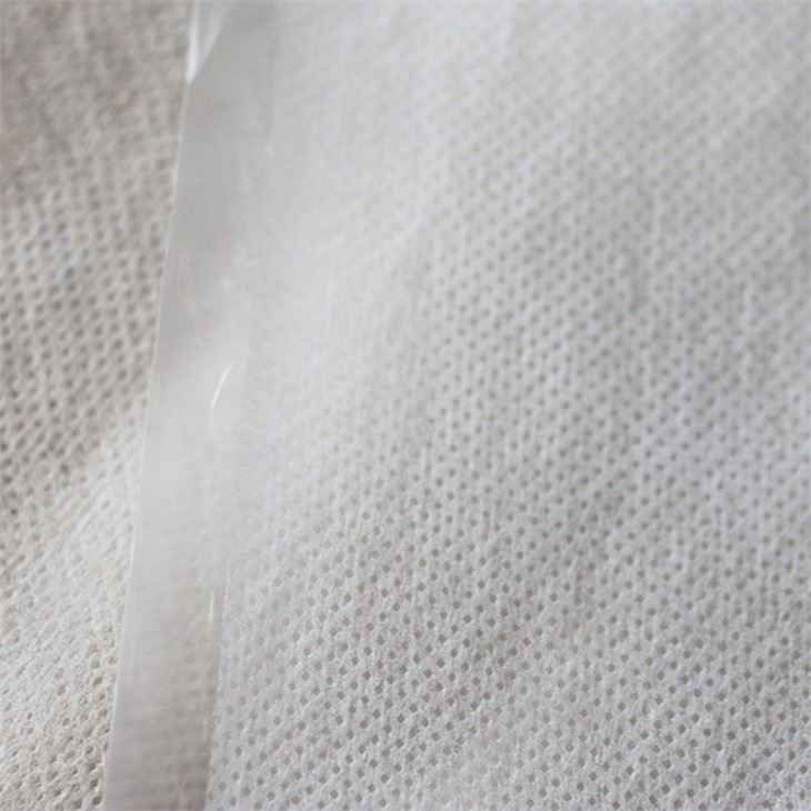 PPPE Coated Non-woven Fabric